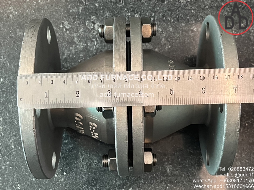 Arrester Fire Back Valve Flange DN50(14)